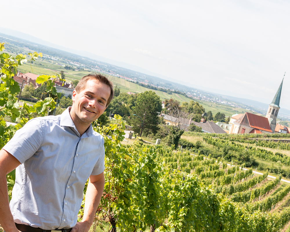 Weingut Hannes Hofer